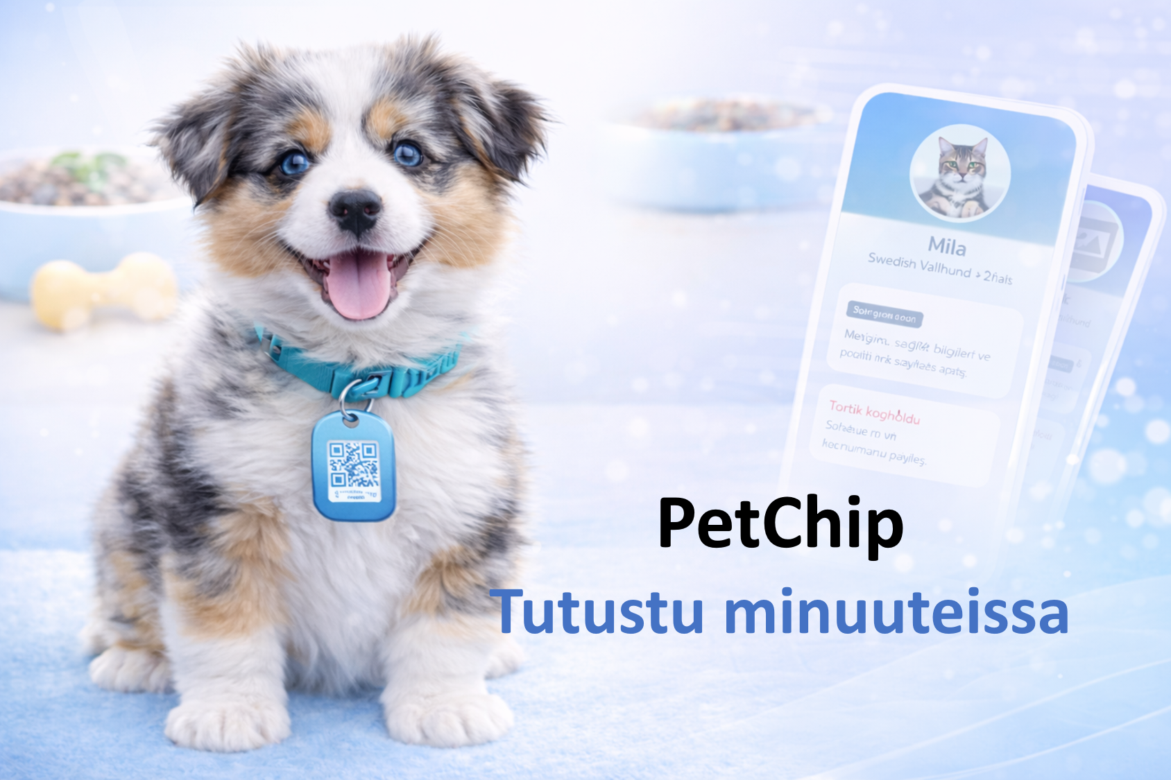 Miten PetChip toimii?